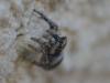 224370 – Photo : Florian ALONSO – France (69)
